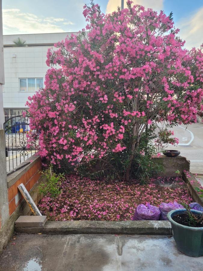 Ferienwohnung Harizma Primošten Exterior foto